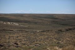 160-acres Blake Sheep Ranch
