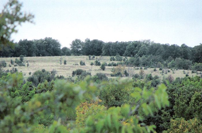 20-acre lots in Okfuskee County